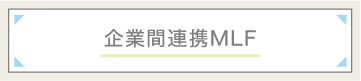 企業間連携MLF